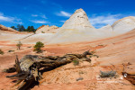 White Domes