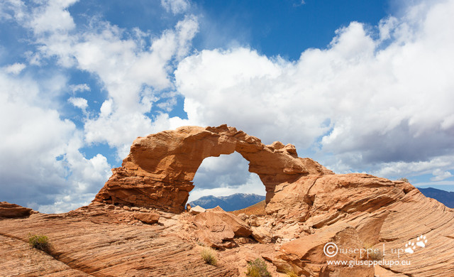 Arsenic Arch